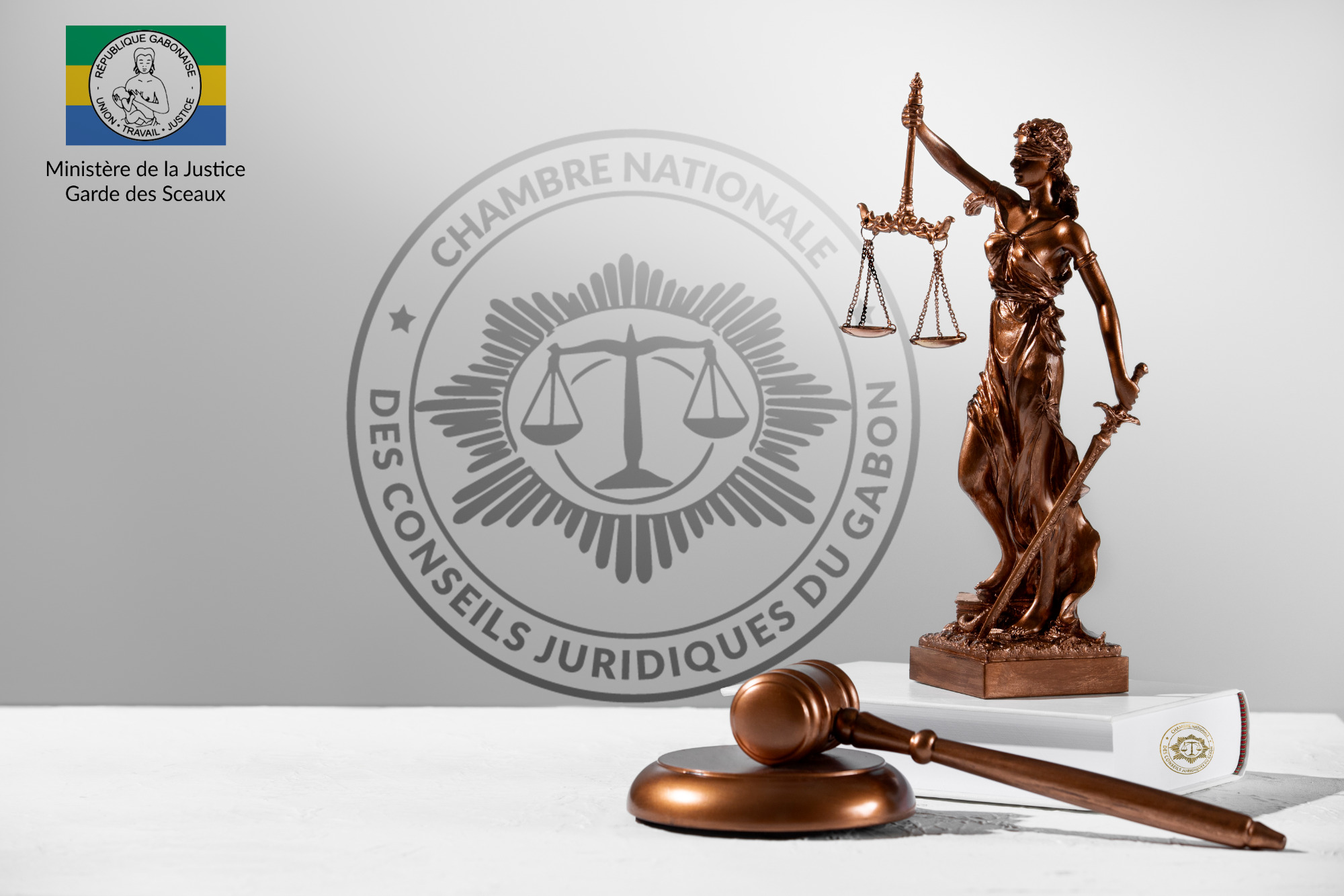La profession de conseil juridique au Gabon : un cadre nécessaire, des incohérences persistantes